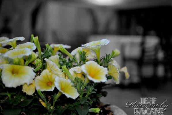 JMB Photography