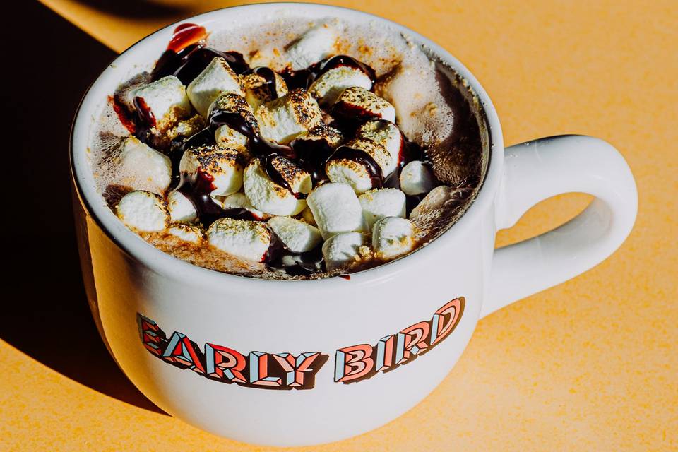 Early Bird