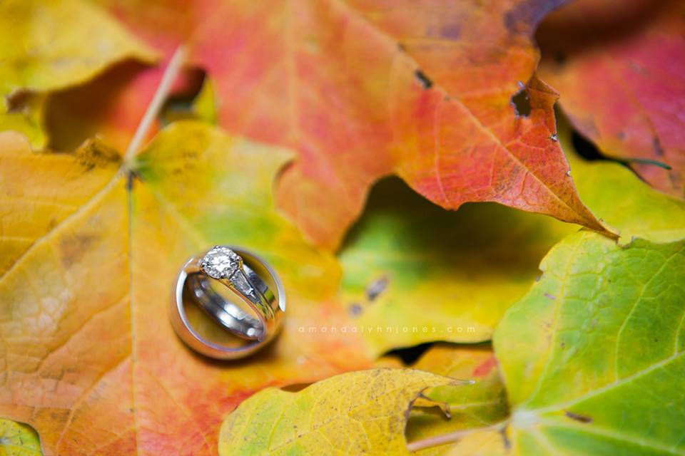 Amandalynn Jones Photography