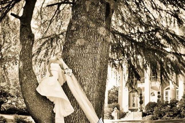 Bridal portrait