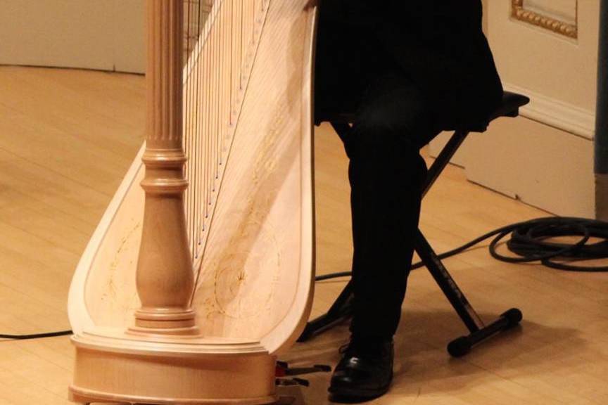 Robert Randazzo - Harpist