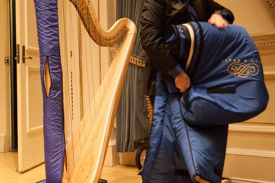 Robert Randazzo - Harpist