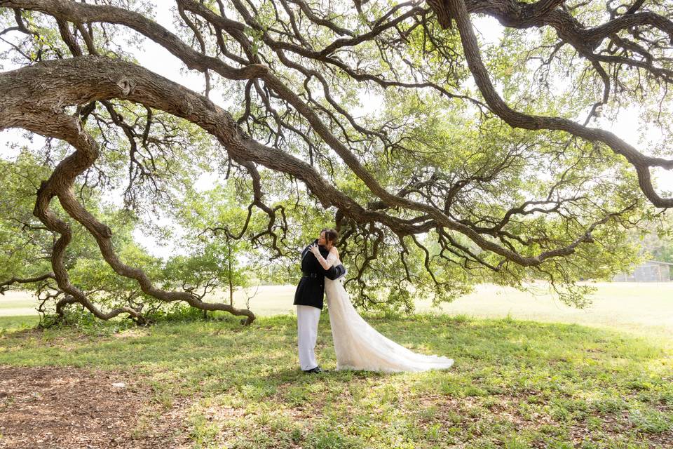 Arc-105 copy.jpeg