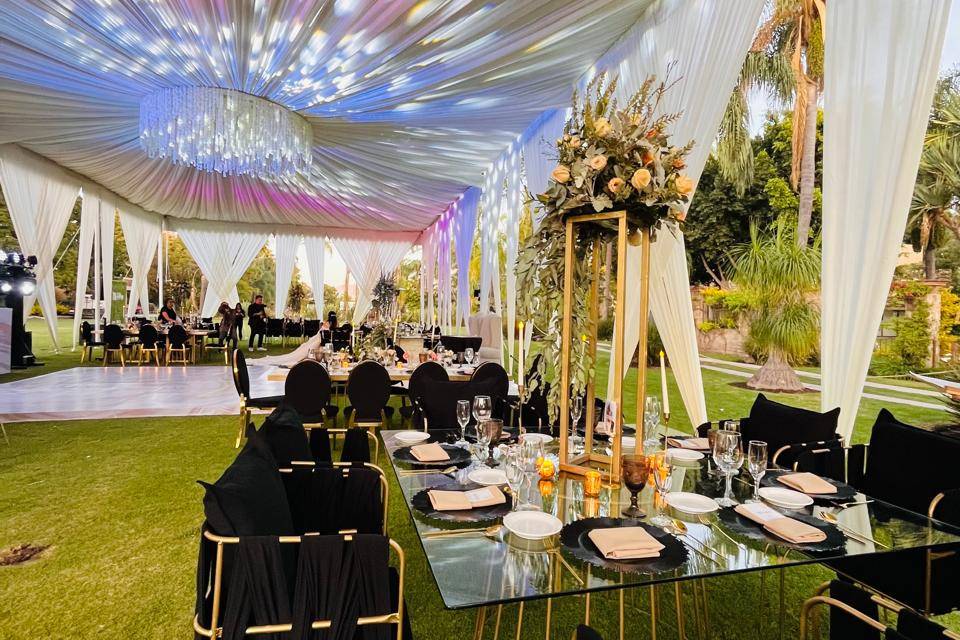 Dinner Reception