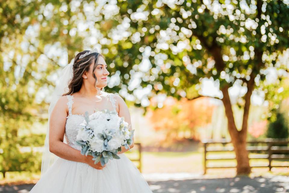 Central KY wedding photography