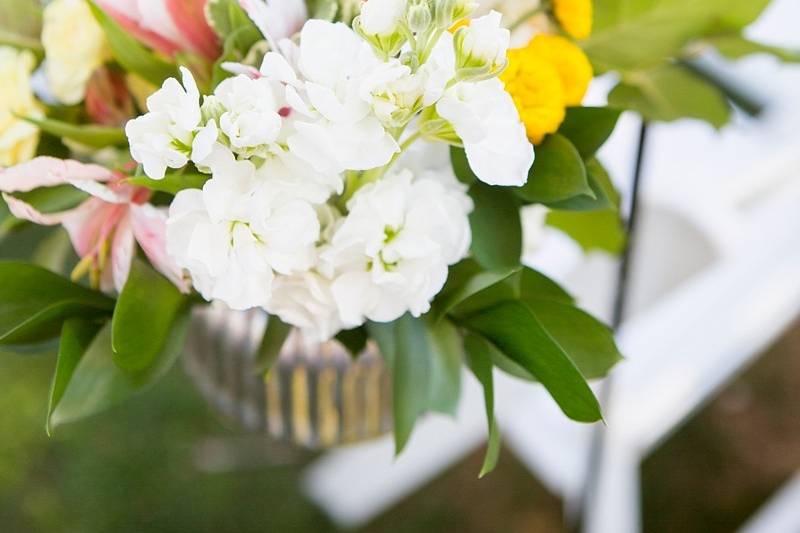 Cabbage Rose Weddings