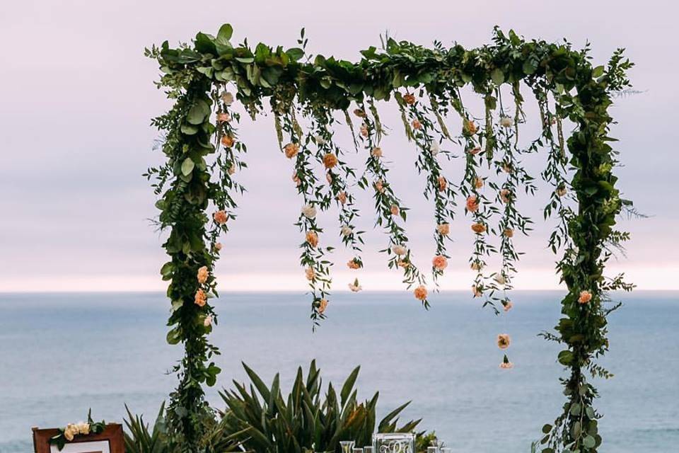 Cabbage Rose Weddings