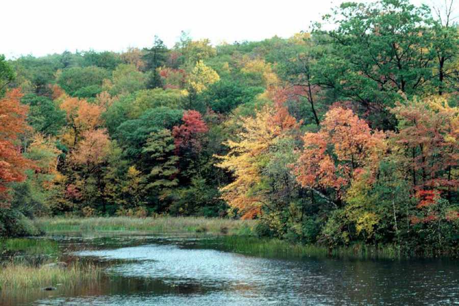 Lake Galena in the fall