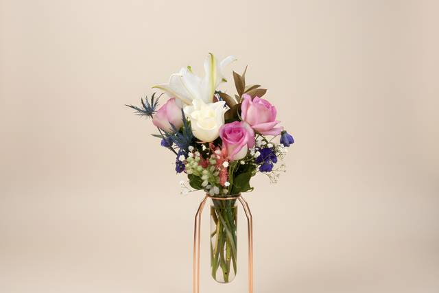 IMG_1127.png