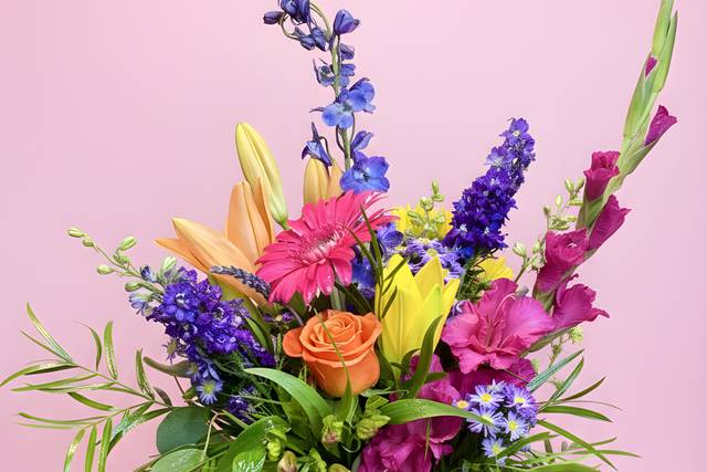 IMG_1281.png