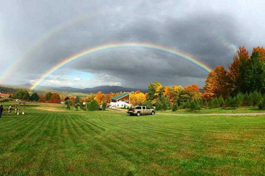 Sharp Farm