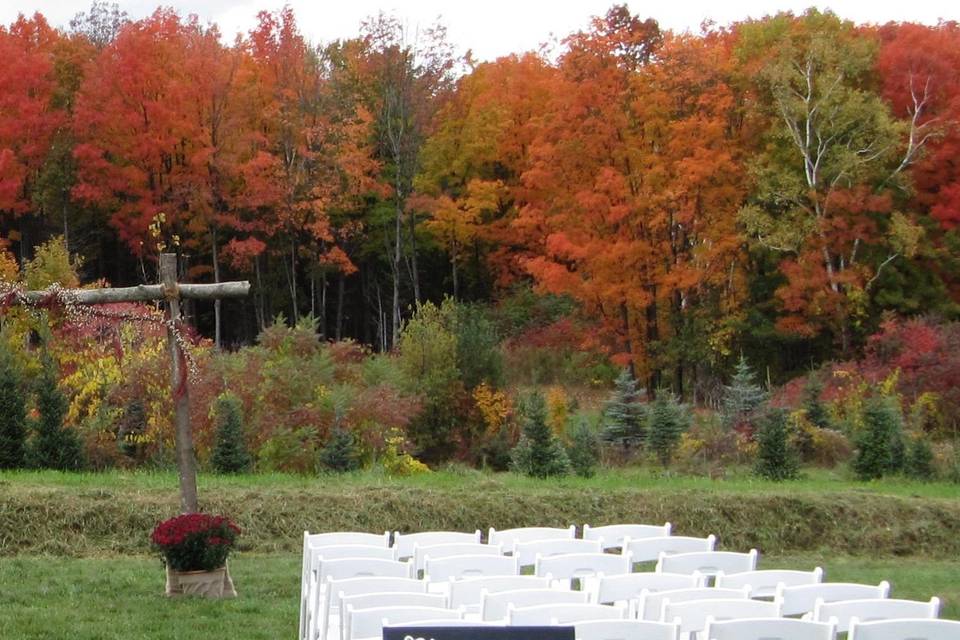 Sharp Farm