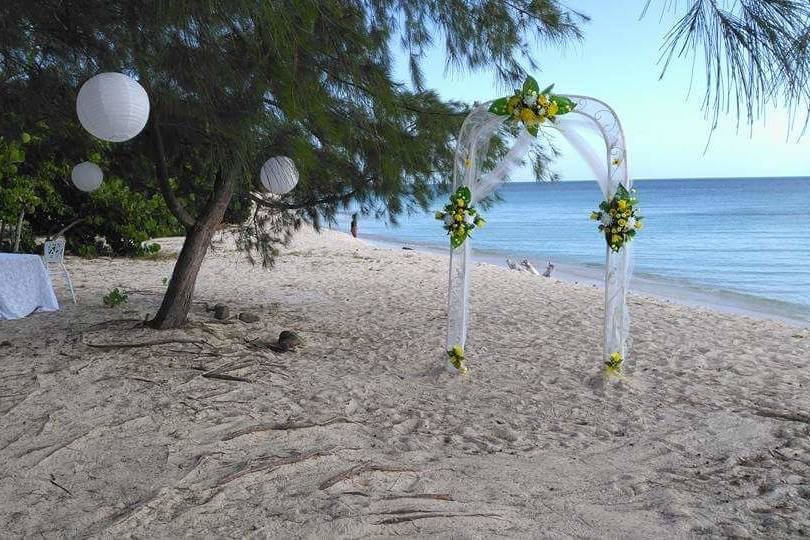 The Box - Wedding Planner Antigua