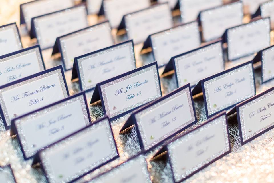 Place-cards set-upla quinta resort vow renewal - blue and silvervision events