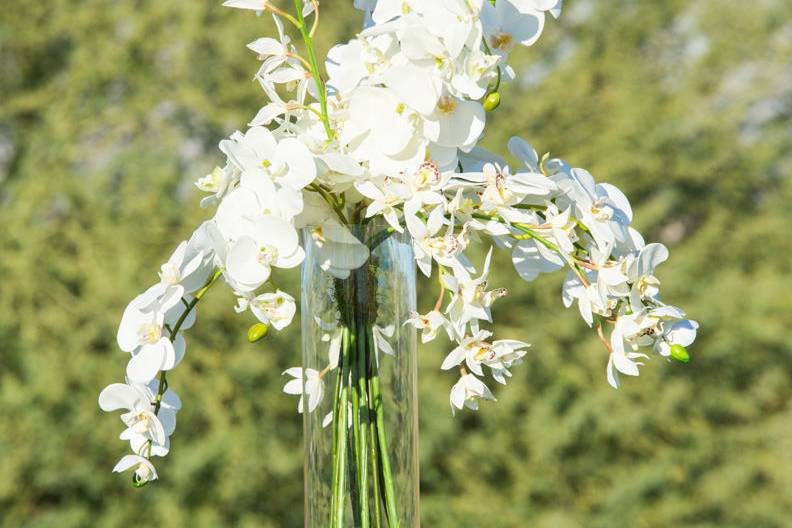 All white florals