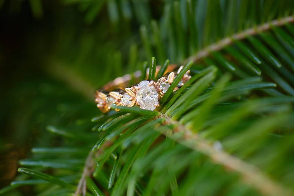 Jennifer Elizabeth Photography