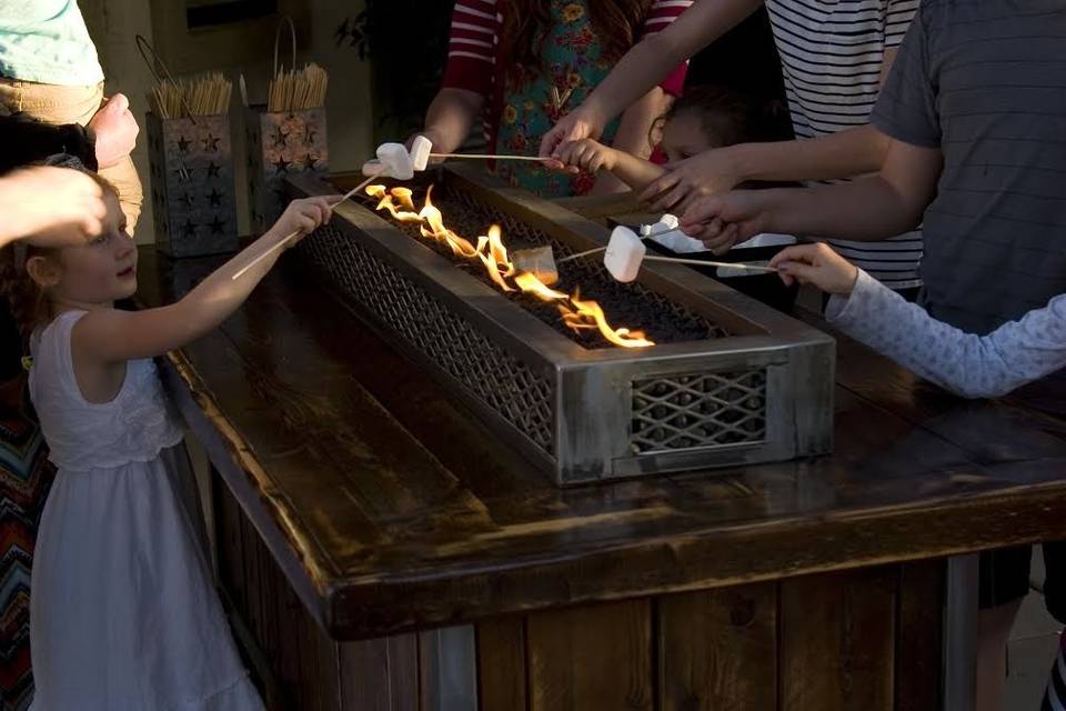 S'mores Cart