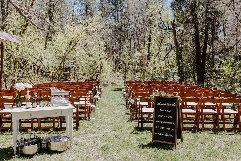 Fruitwood Folding Chairs