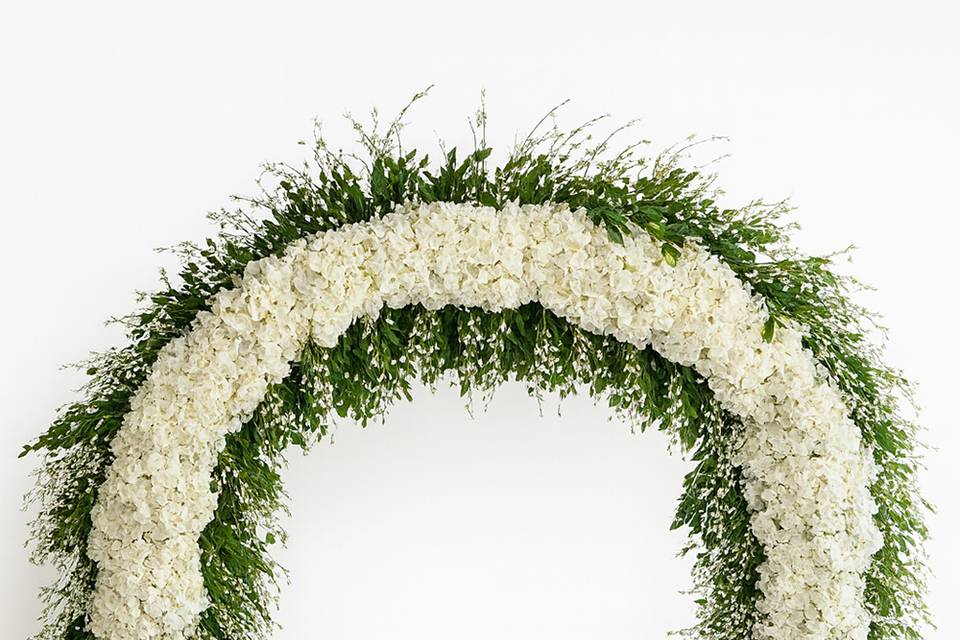 D.P. Designs