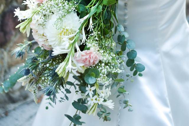 Shana Leigh Photography
