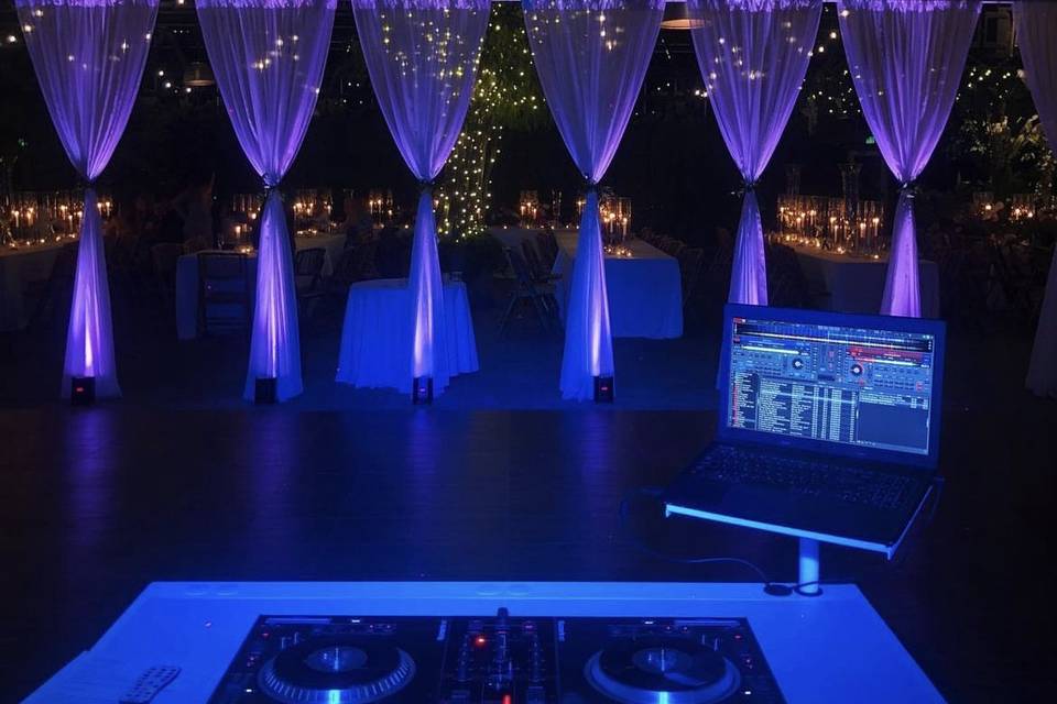 Event Lighting | Planterra