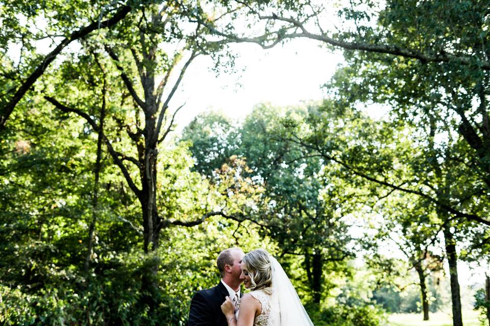 Couple Under Trees