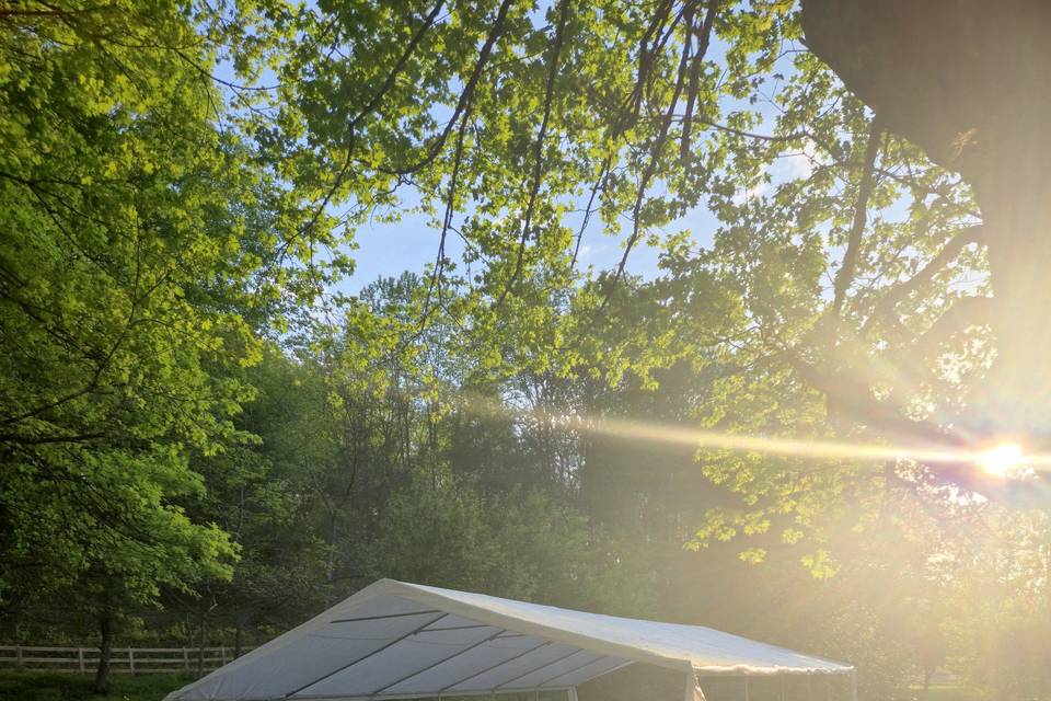 Tent Late Afternoon