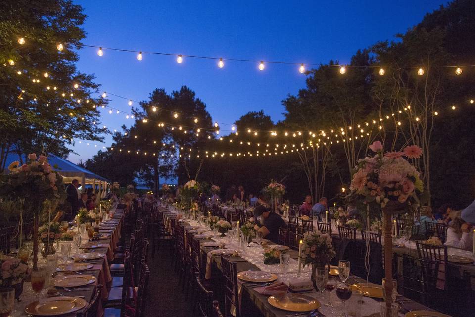 Dreamy reception