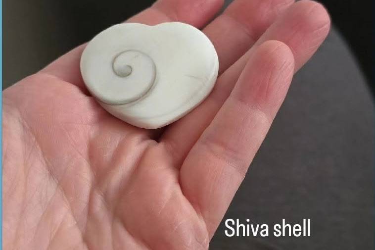 Aries: Shiva Shell