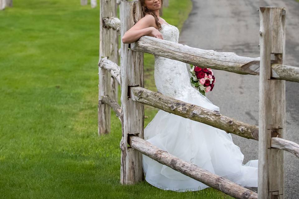 Log Cabin Fence