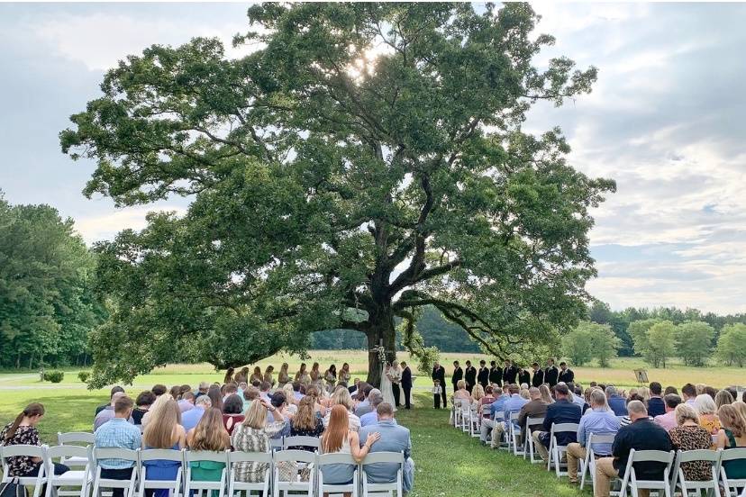 Ceremony under the tree