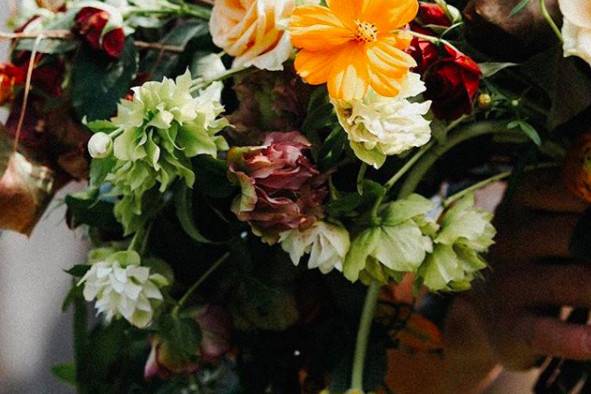 Ivy Floral