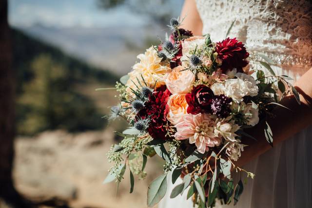 Dahlias in the pines
