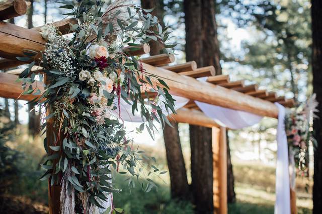 Dahlias in the pines