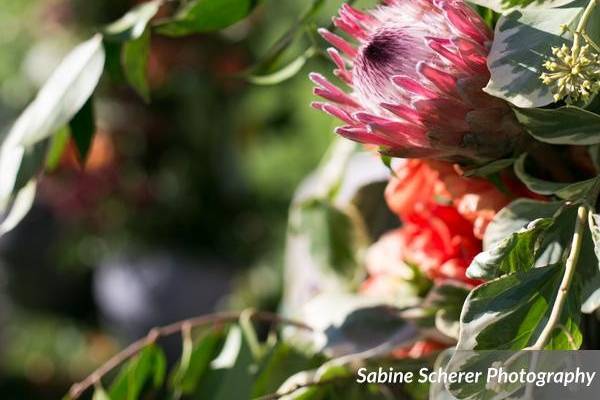 photo credit: Sabine Scherer Photographyfloral: Brown Paper Design