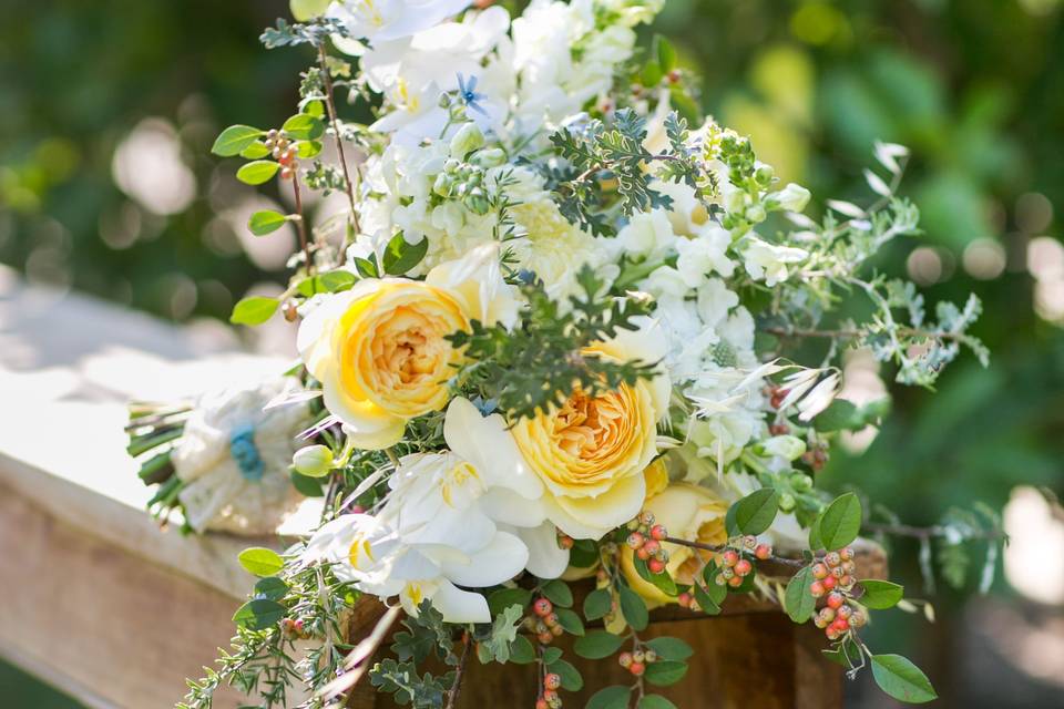 photo credit: Sabine Scherer Photographyfloral: Monkey Flower Group