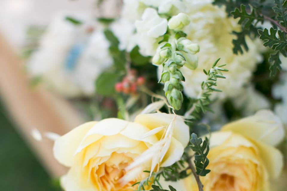 photo credit: Sabine Scherer Photographyfloral: Monkey Flower Group