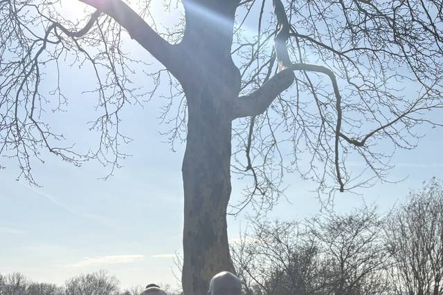 A Windy Day