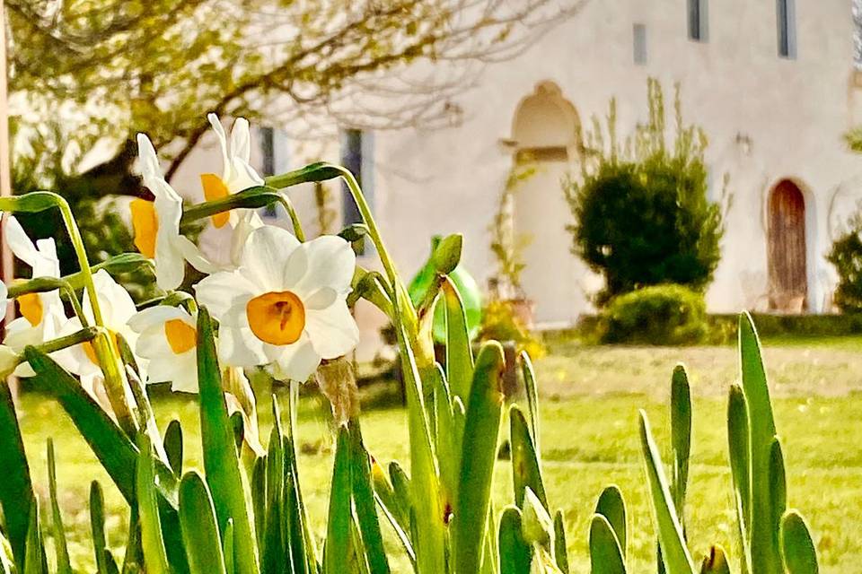 Masseria San Sebastiano