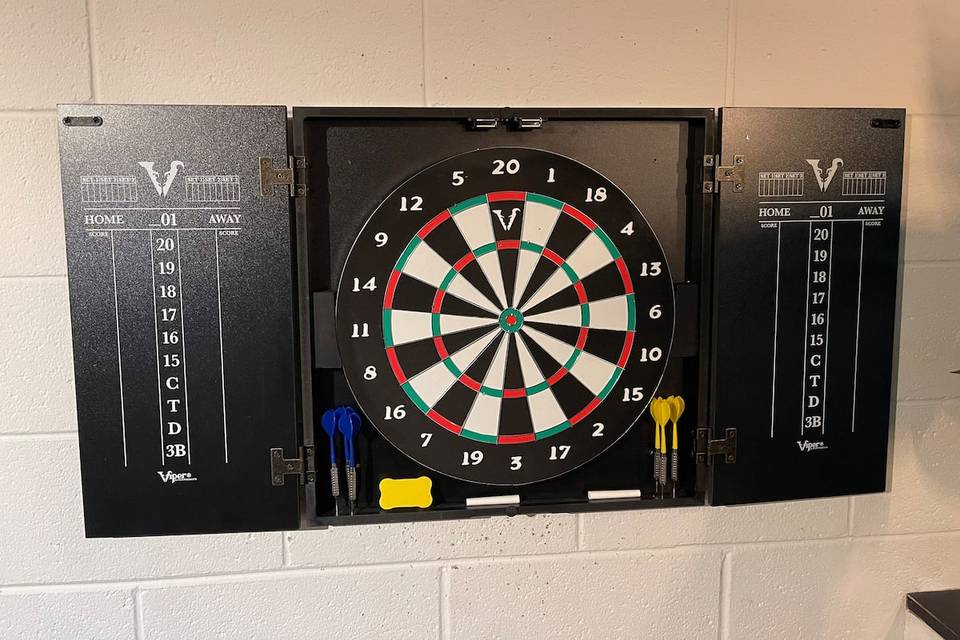 The darts