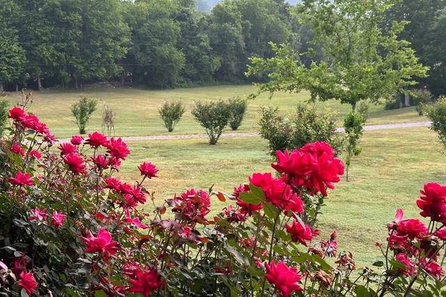 Lush grounds surround the venu