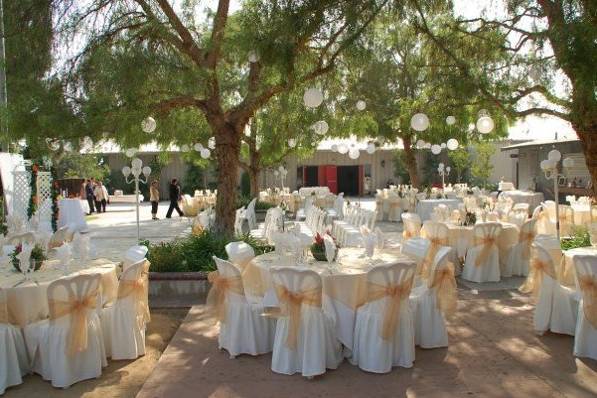 Sedillos Weddings & Events