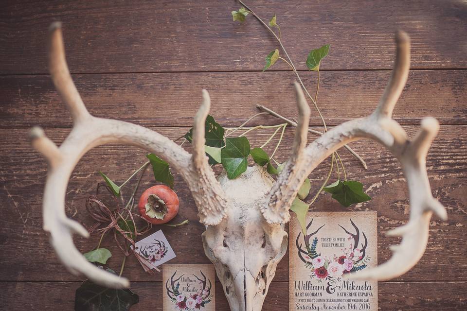 Elle Michelle Photography