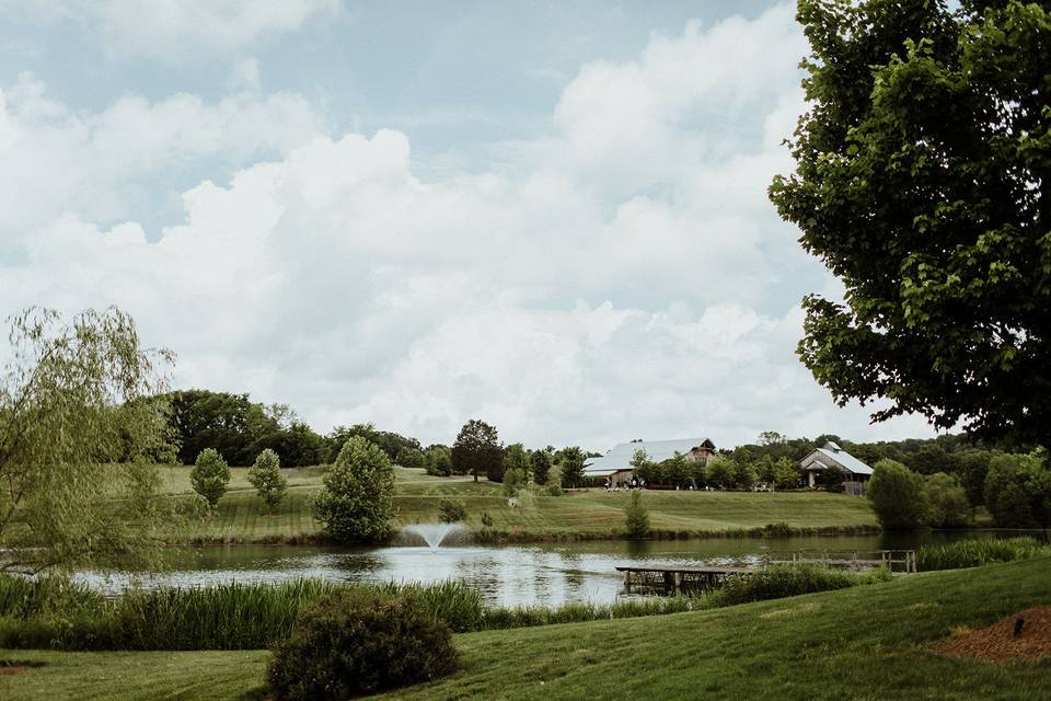 Mint Springs Farm