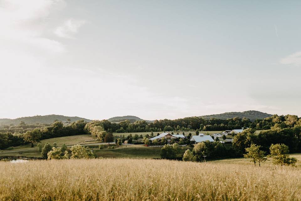 Mint Springs Farm