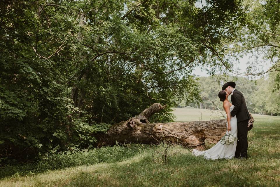 Wedding Portraits