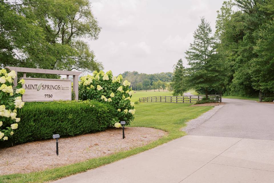 Mint Springs Farm Entrance
