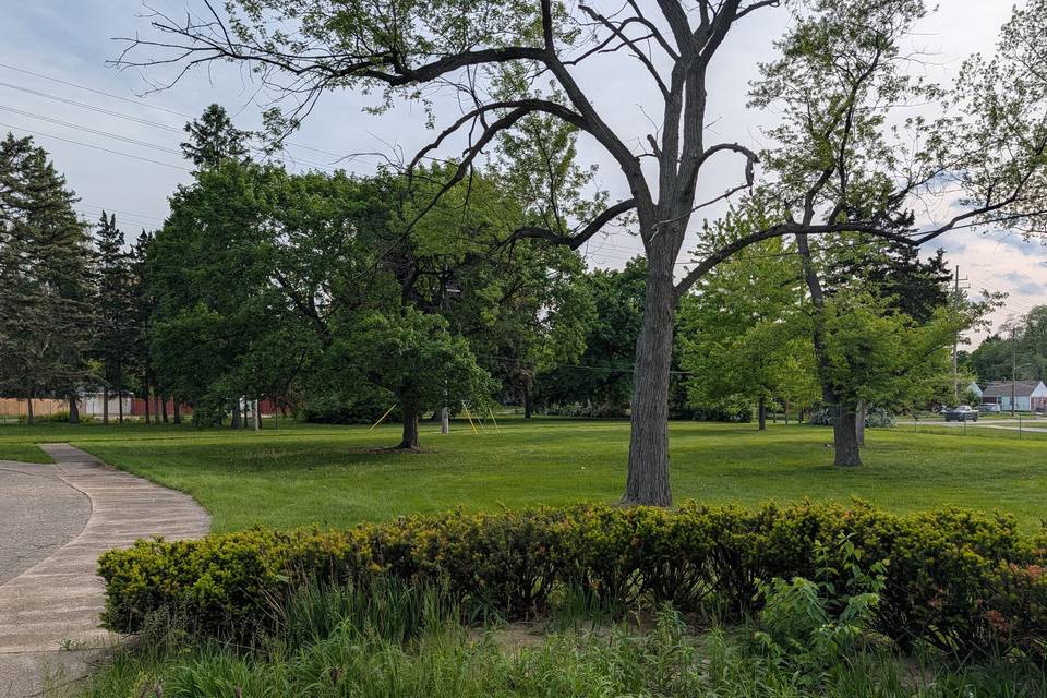 PXL_20260516_221818797.jpg