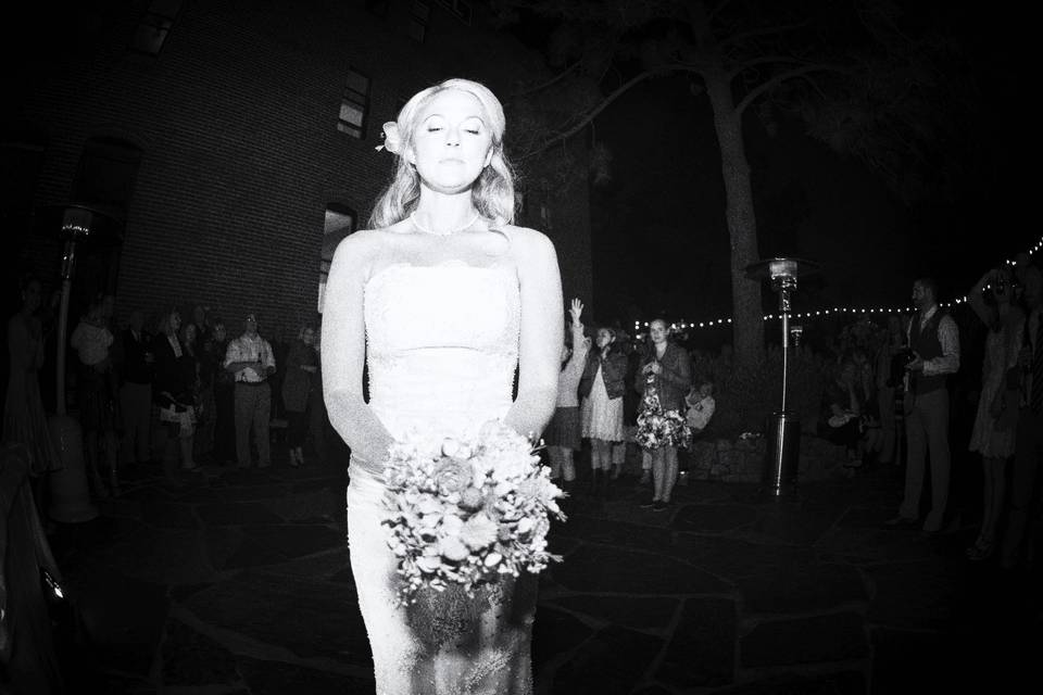 Cecil Robert Hamilton Photography