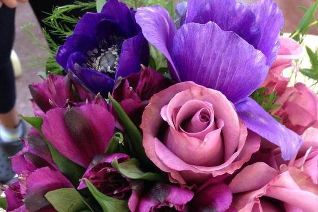 A love for Purple